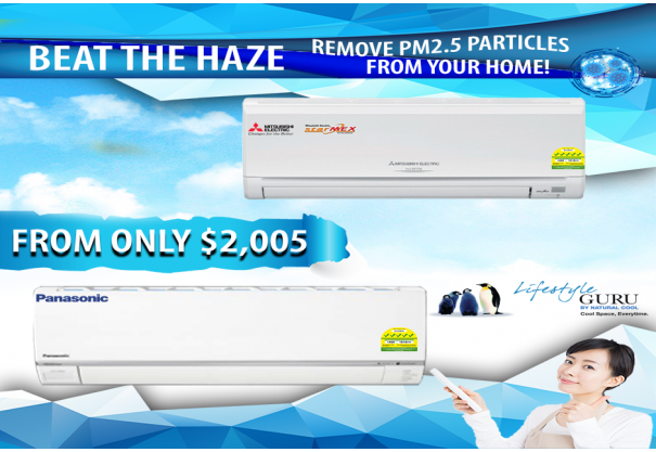 BEAT THE HAZE & CLEAN OUT PM2.5 PARTICLES FROM YOUR HOME!